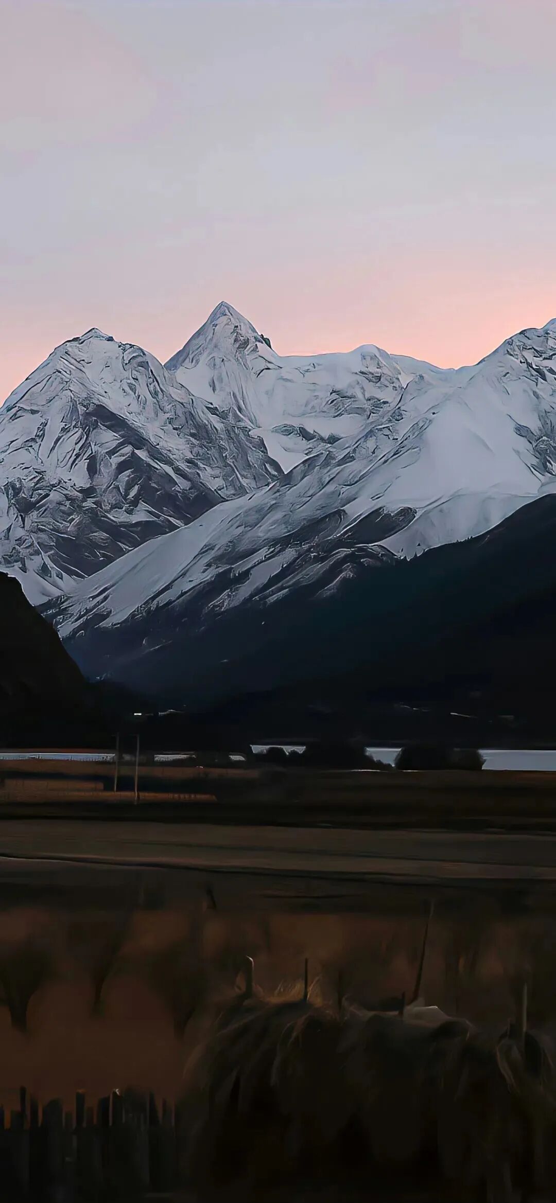 风景