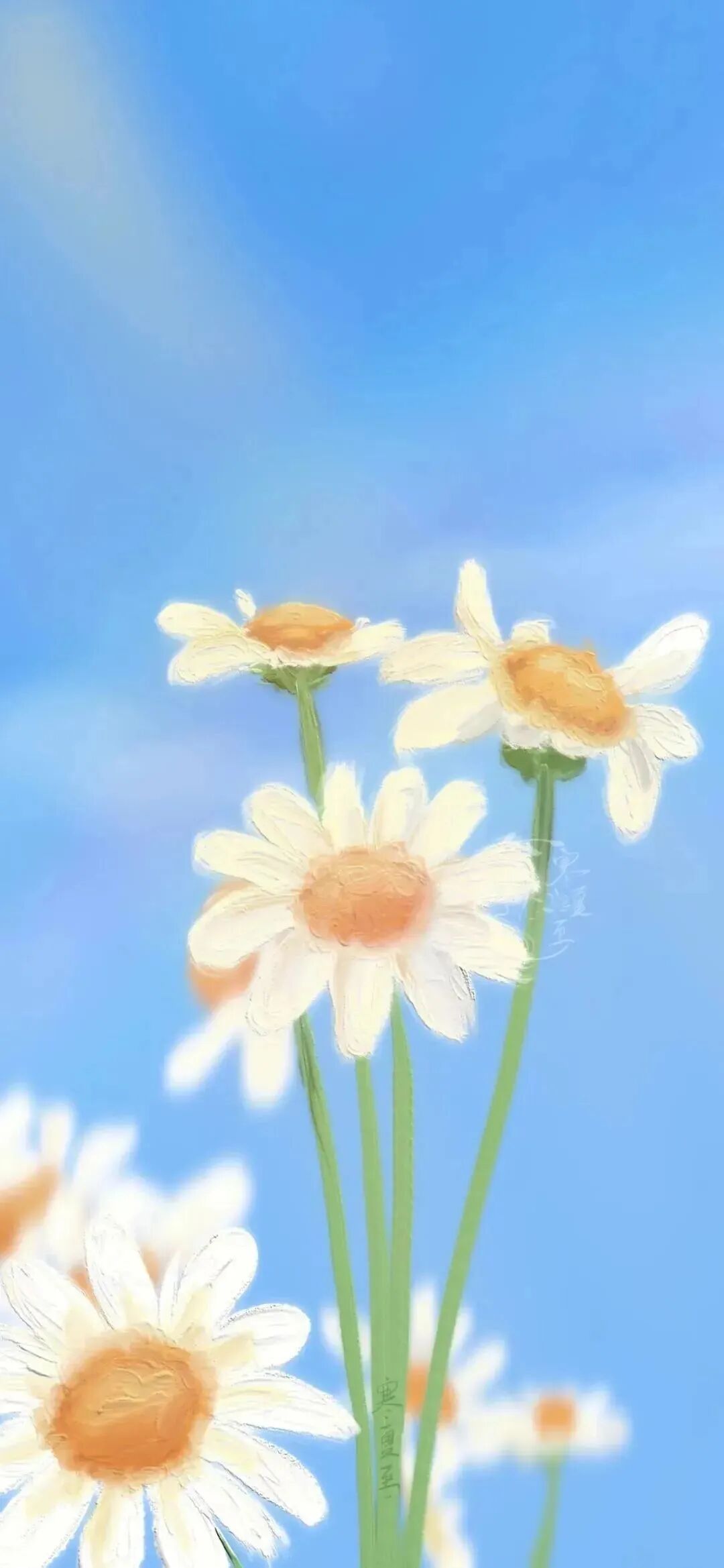 风景