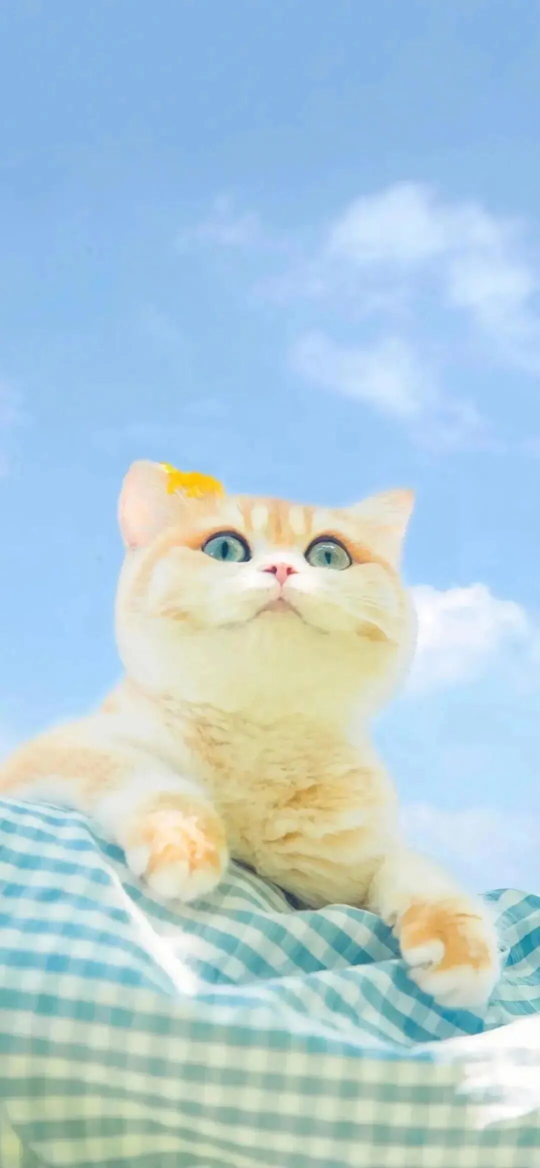 什锦