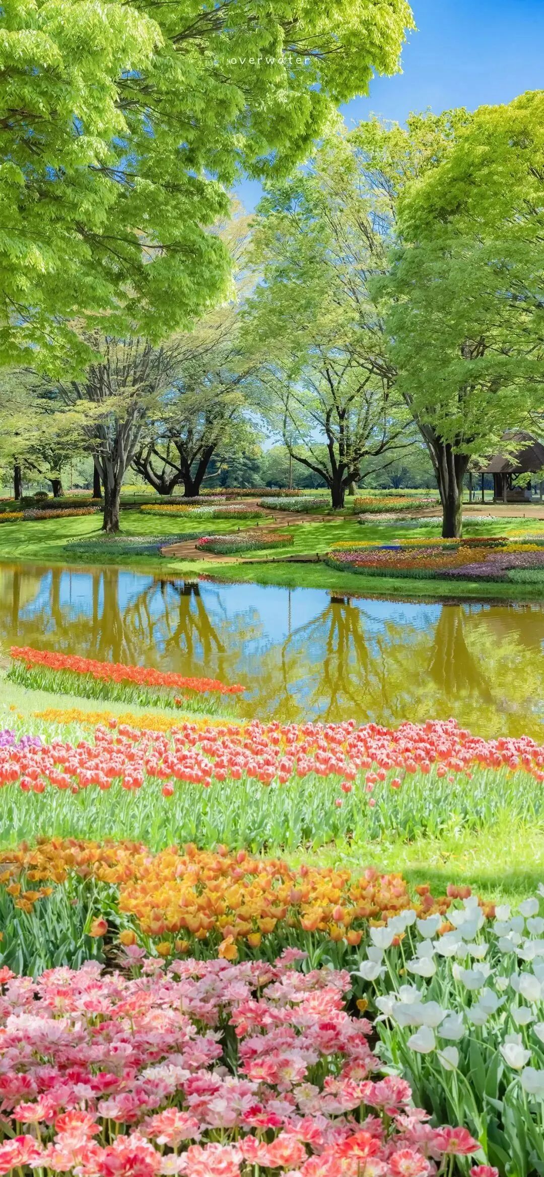 风景