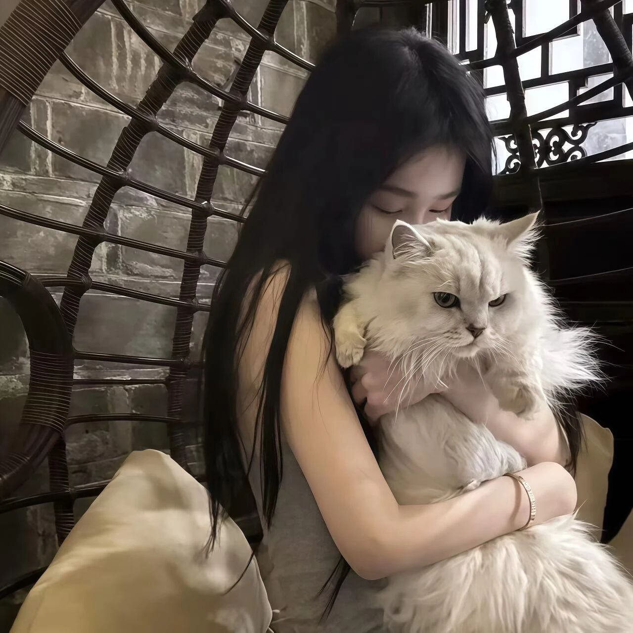 抱着猫咪清冷女生头像