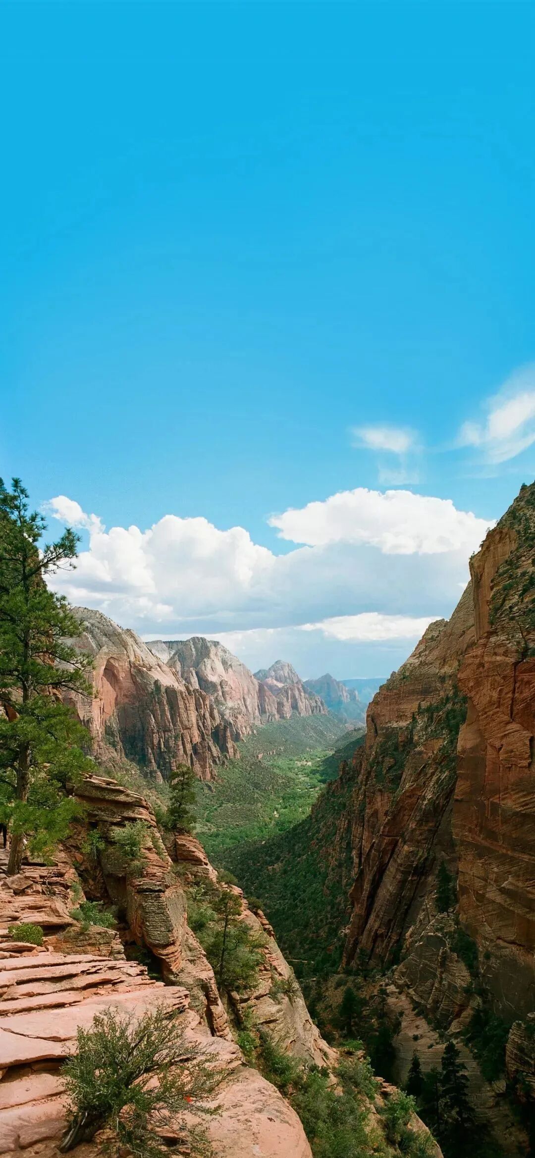 风景