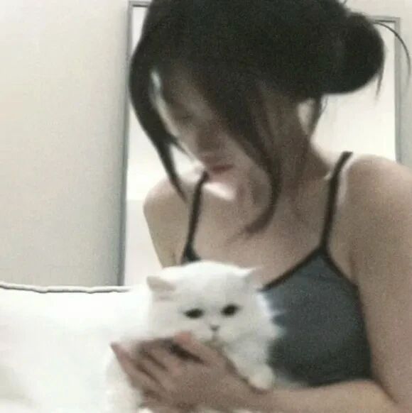 抱着猫咪滤镜温柔女生头像