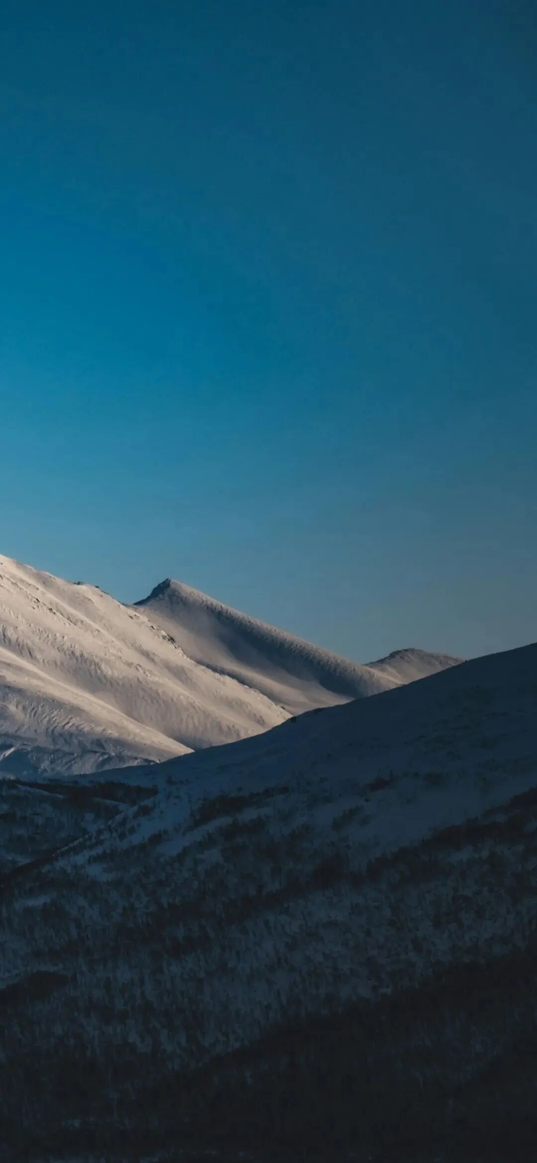 风景