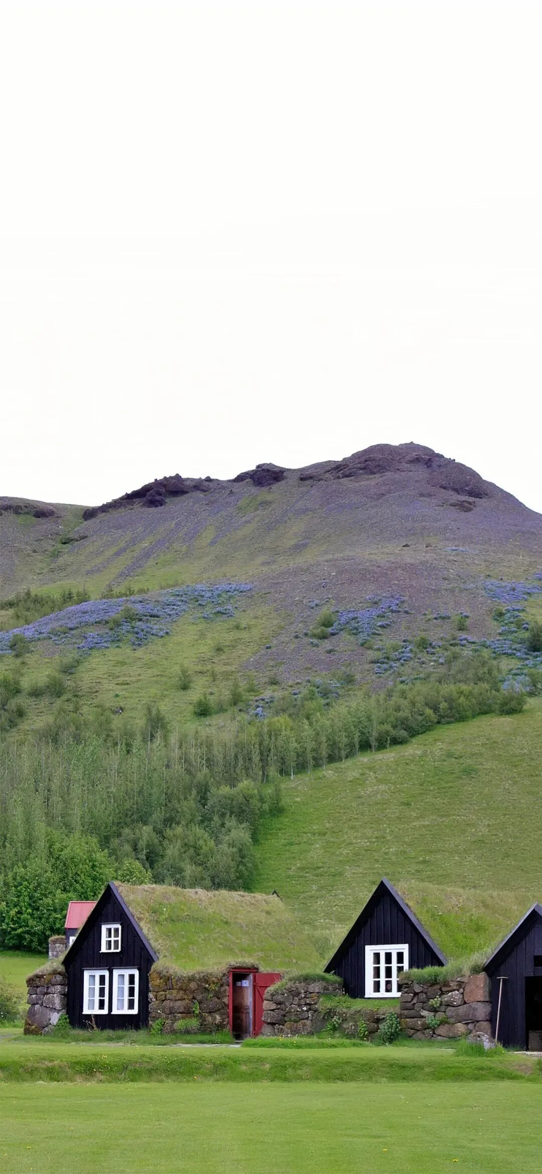 风景
