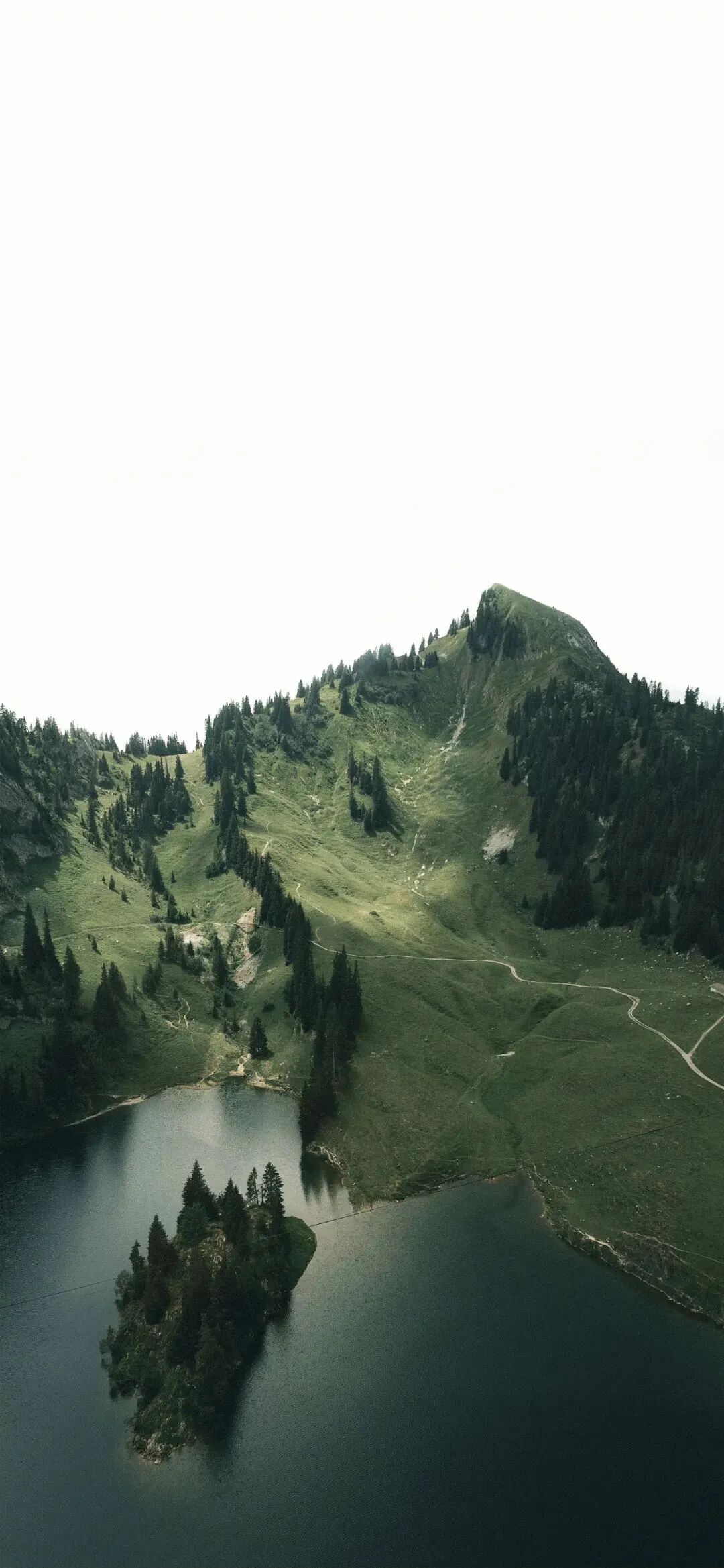 风景