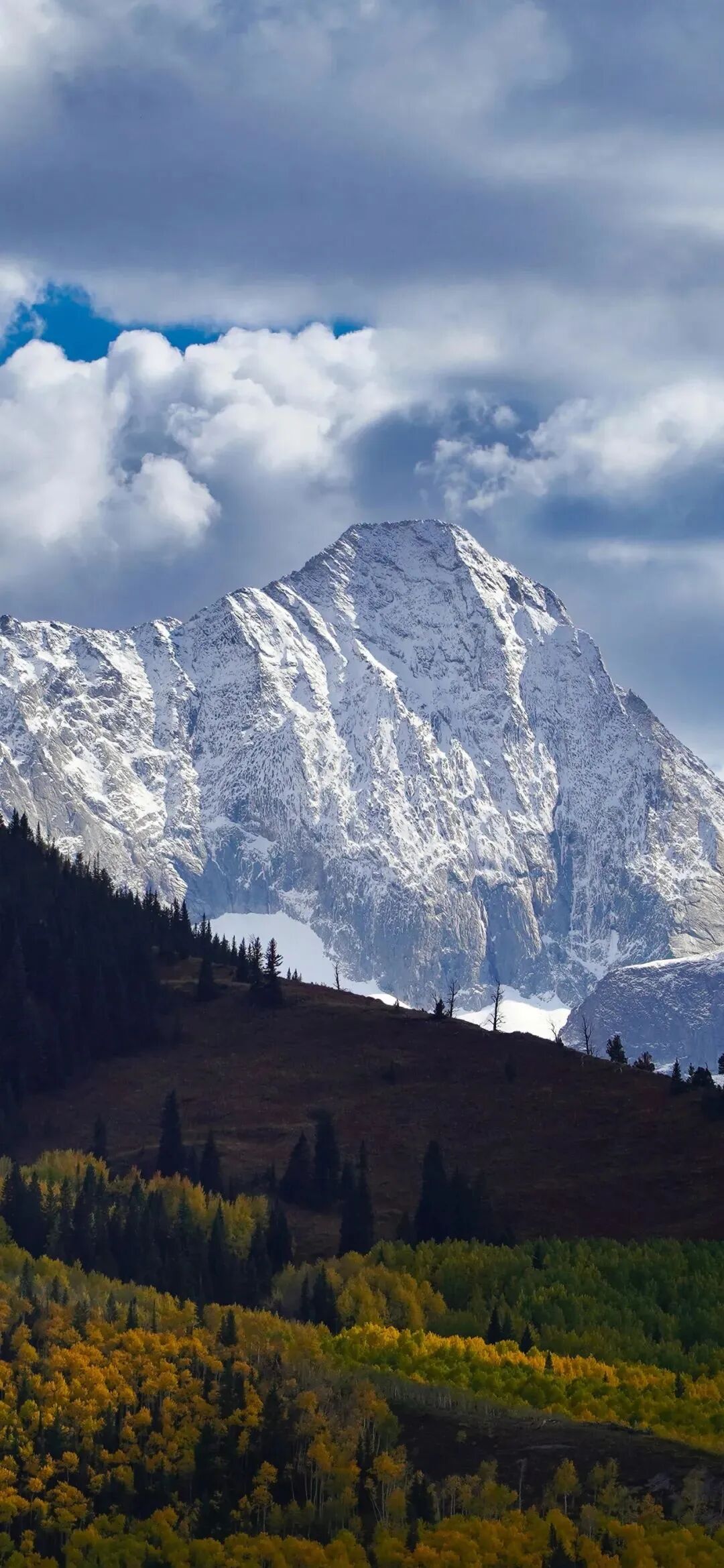 风景