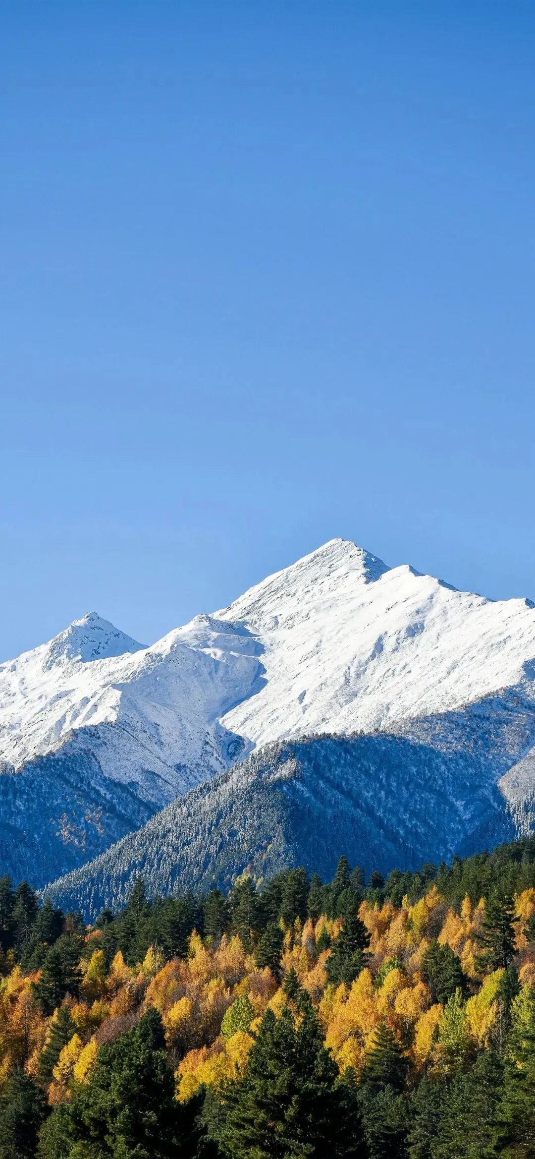 风景