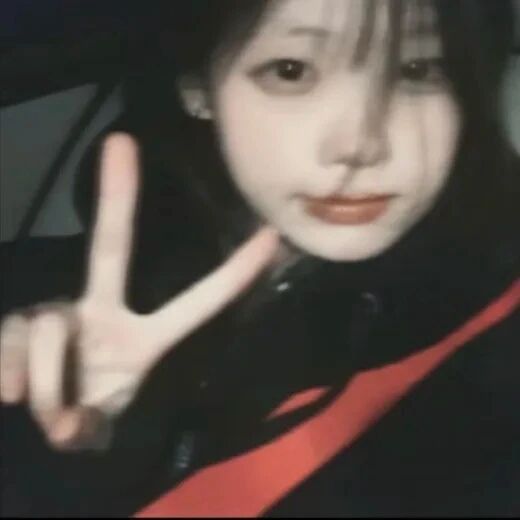 滤镜剪刀手小众女生头像