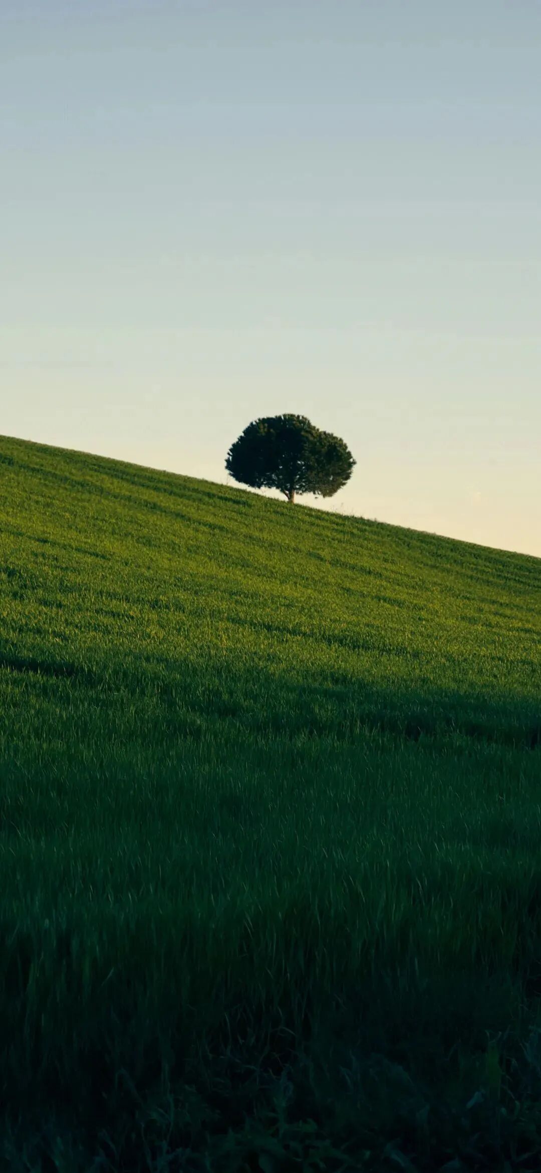 风景