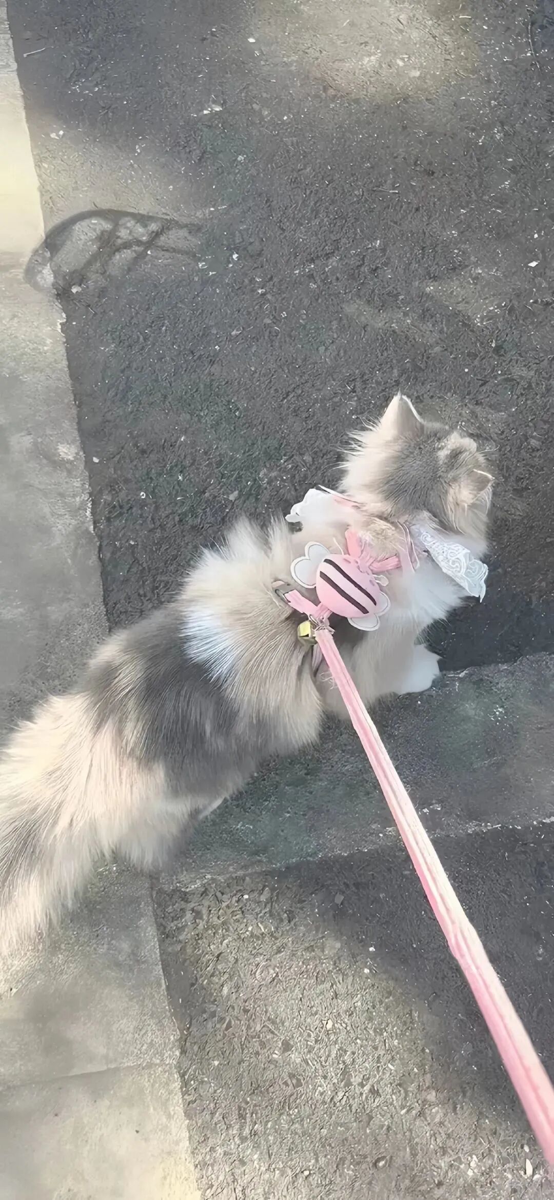 什锦