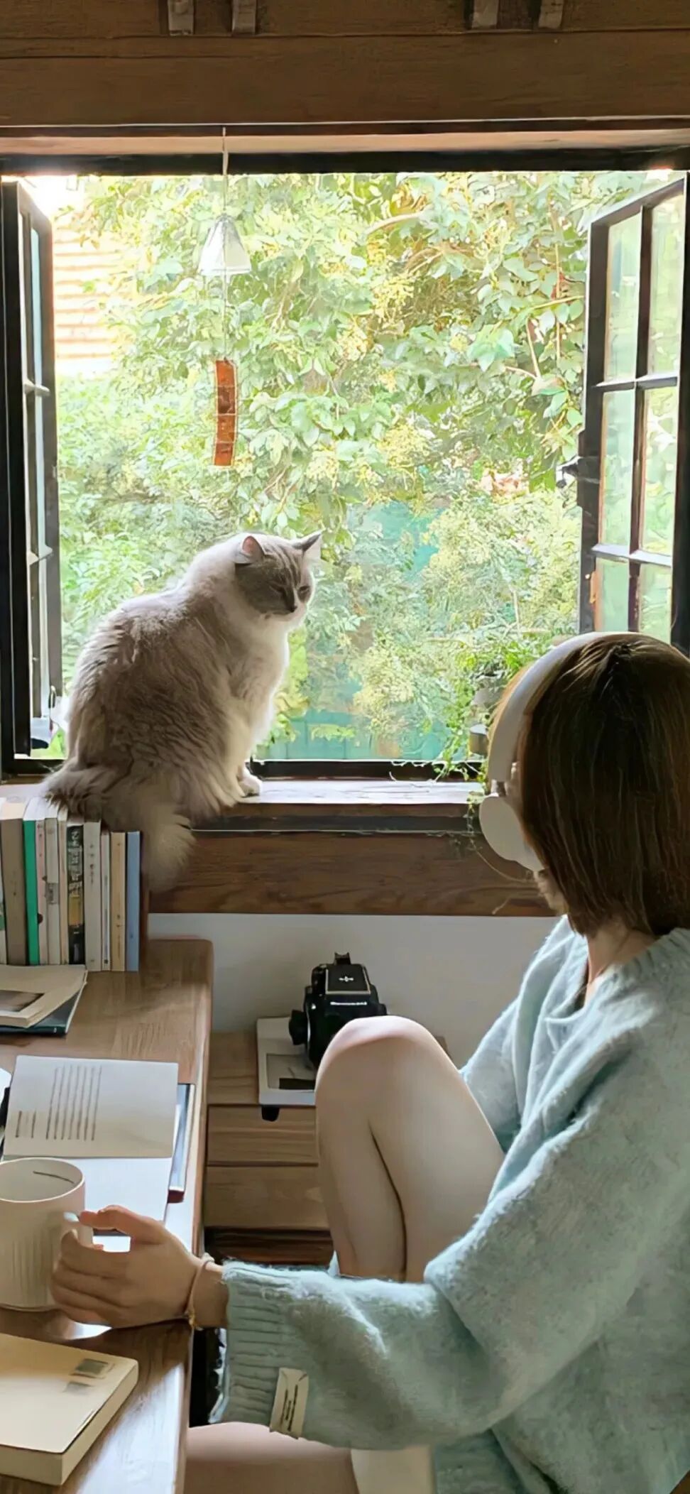 抖音热门