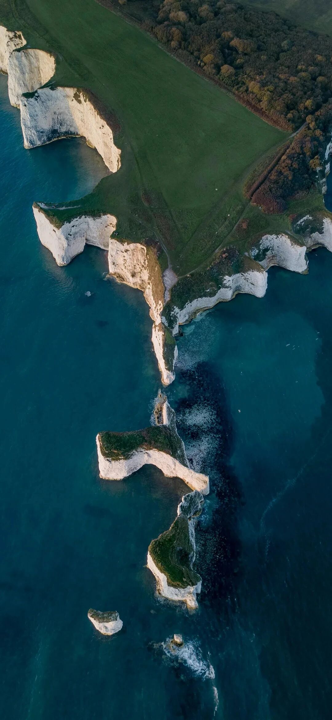风景