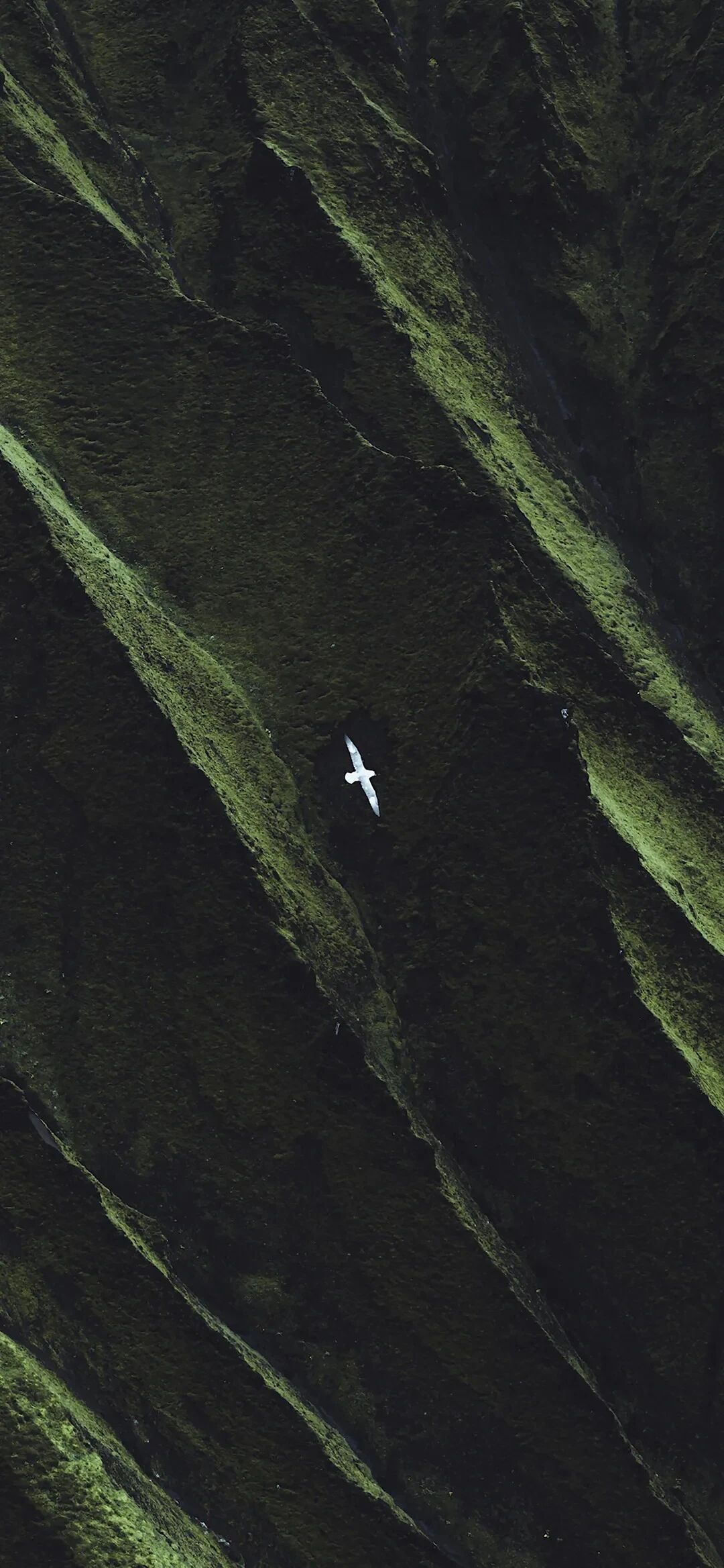 风景