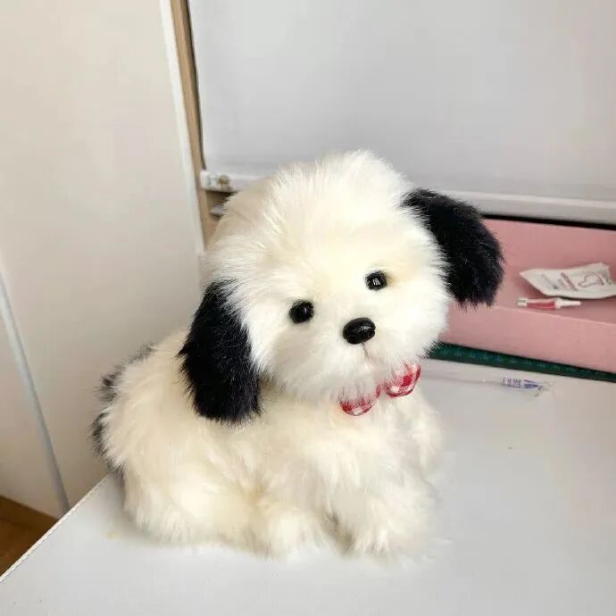 狗狗萌宠头像