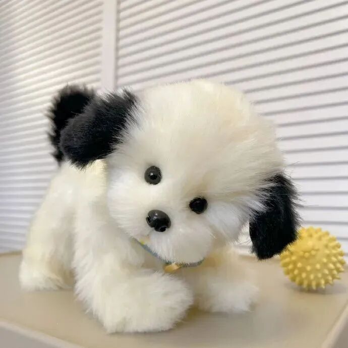 狗狗萌宠头像