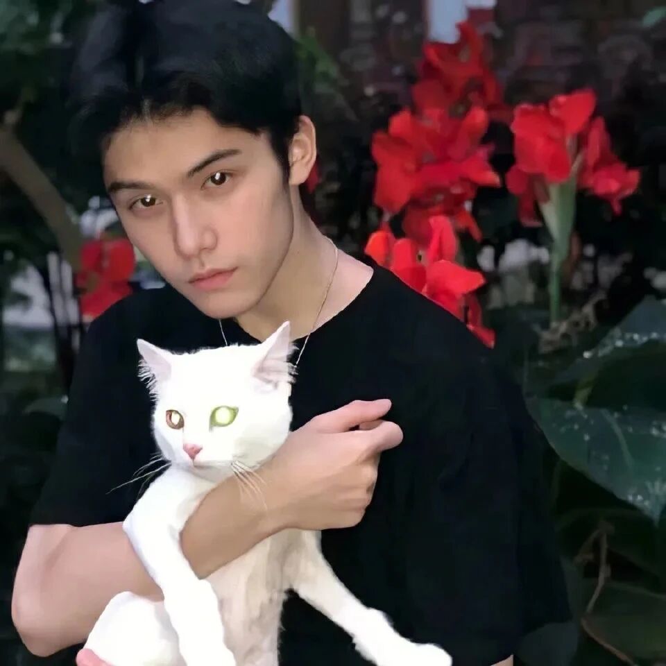 bzdanmaocatqixi抱着猫咪单人真人情侣头像