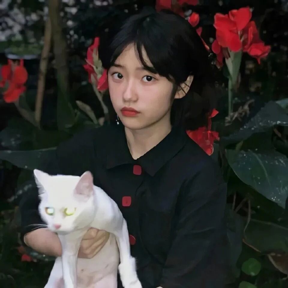 bzdanmaocatqixi抱着猫咪单人真人情侣头像