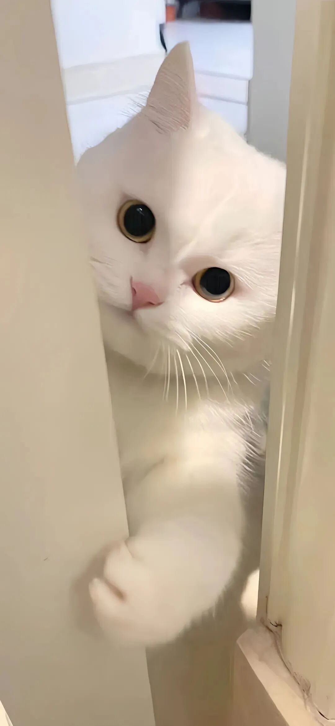 什锦