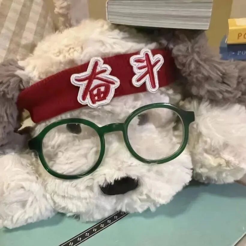 萌宠 萌宠头像  小狗头像 小狗