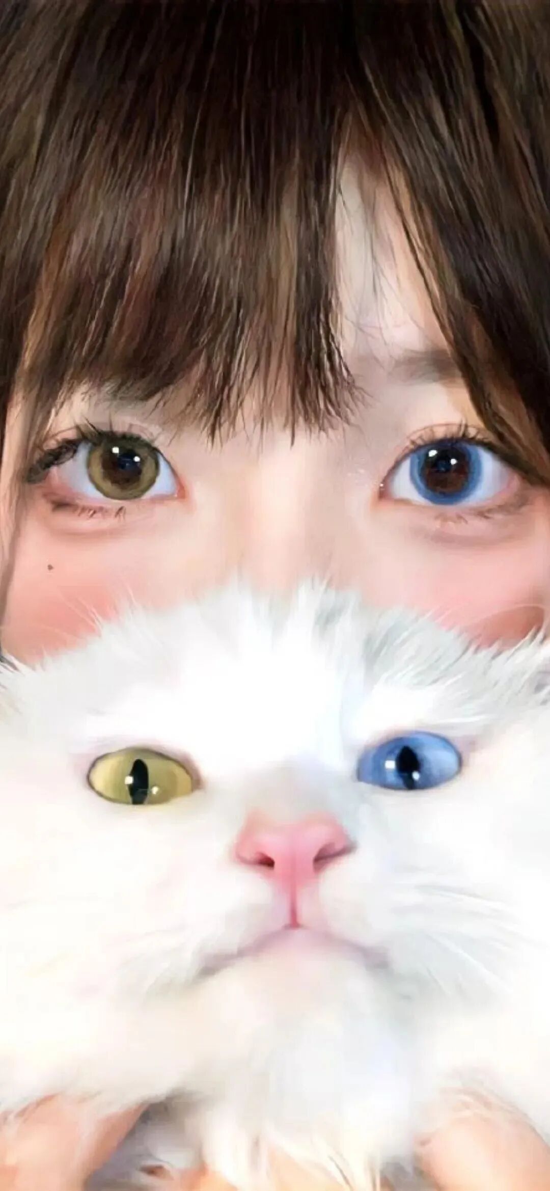 可爱少女心壁纸