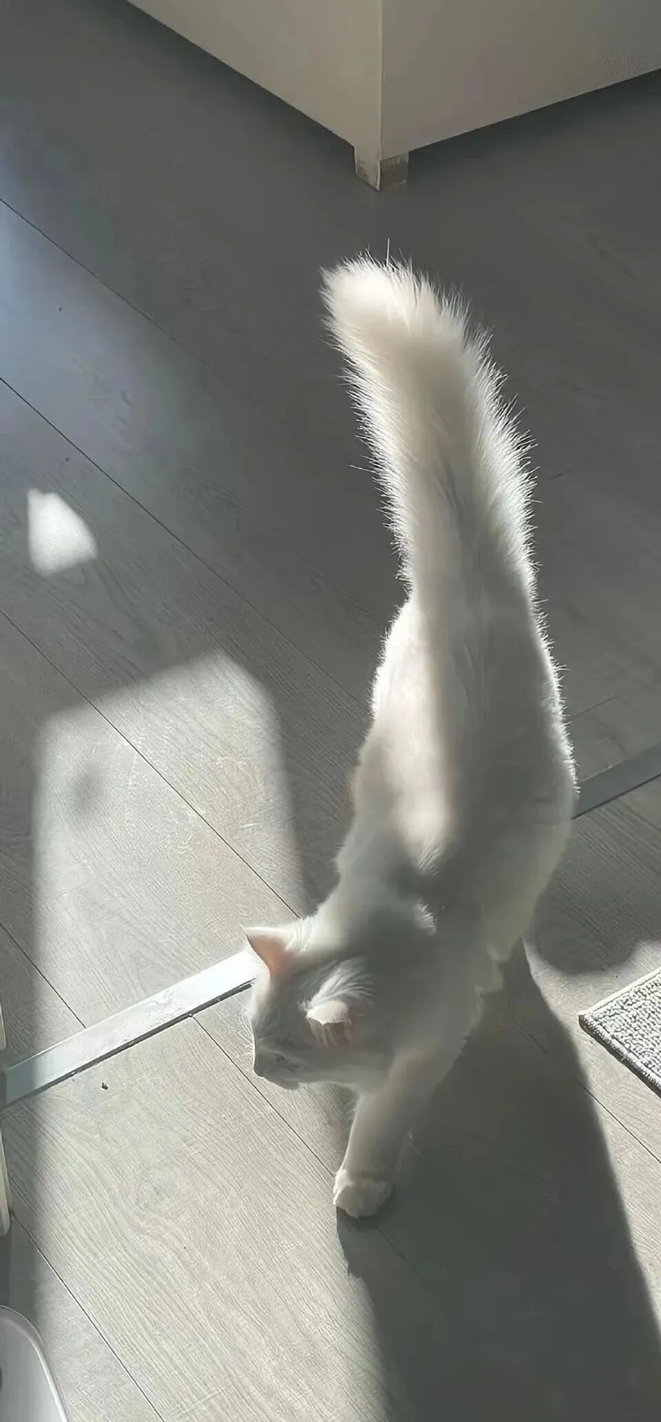 什锦