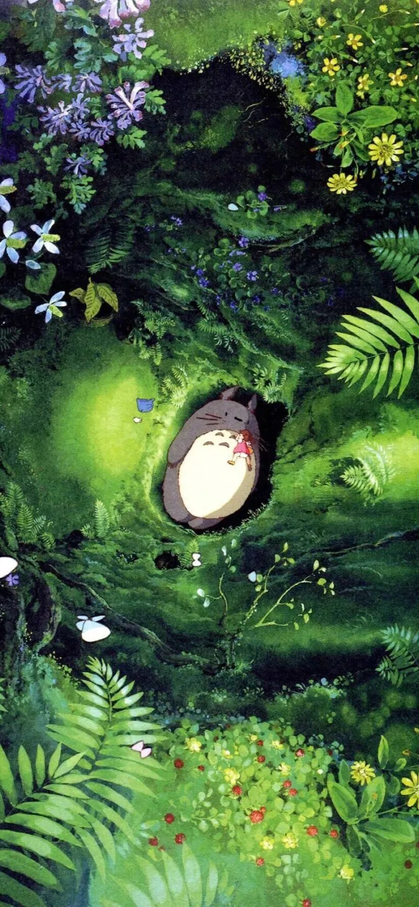 动漫