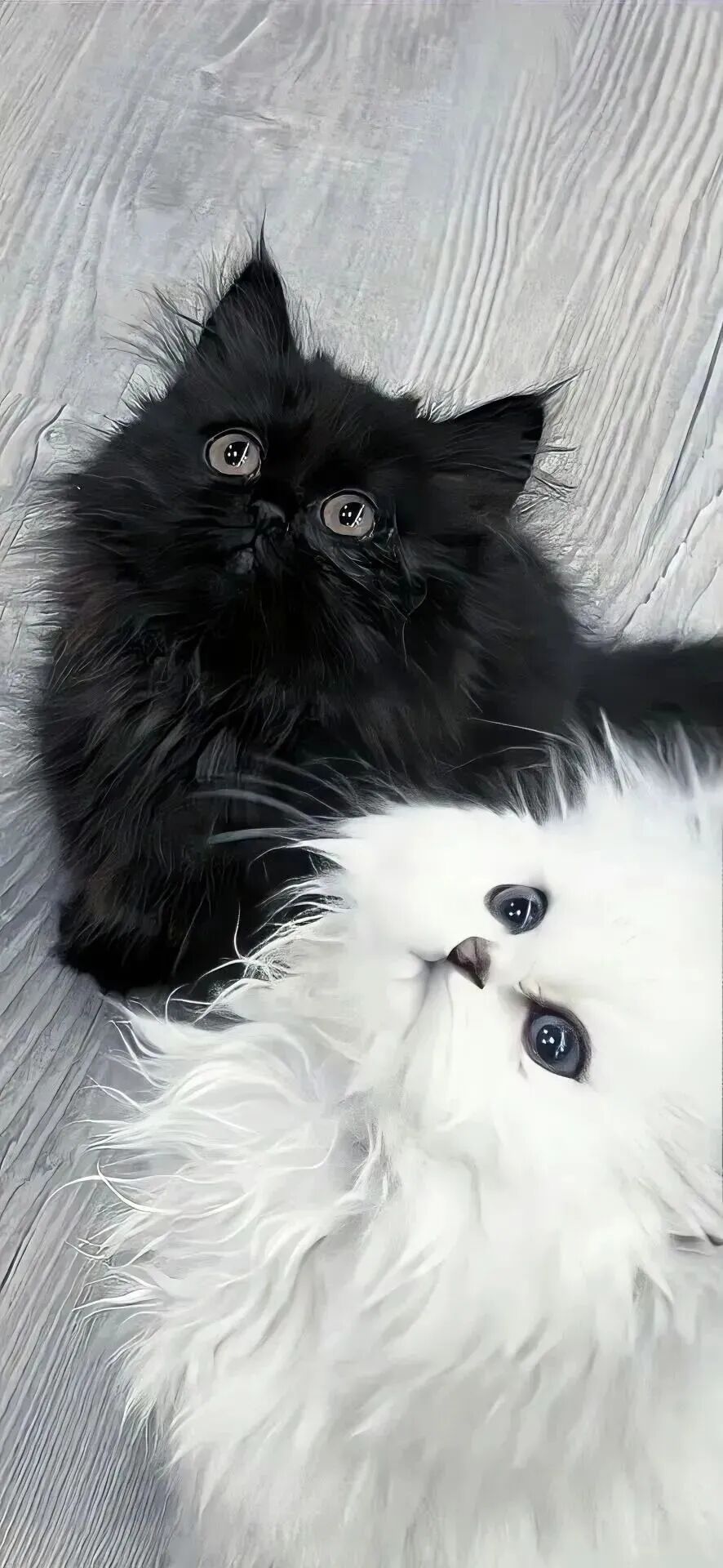什锦