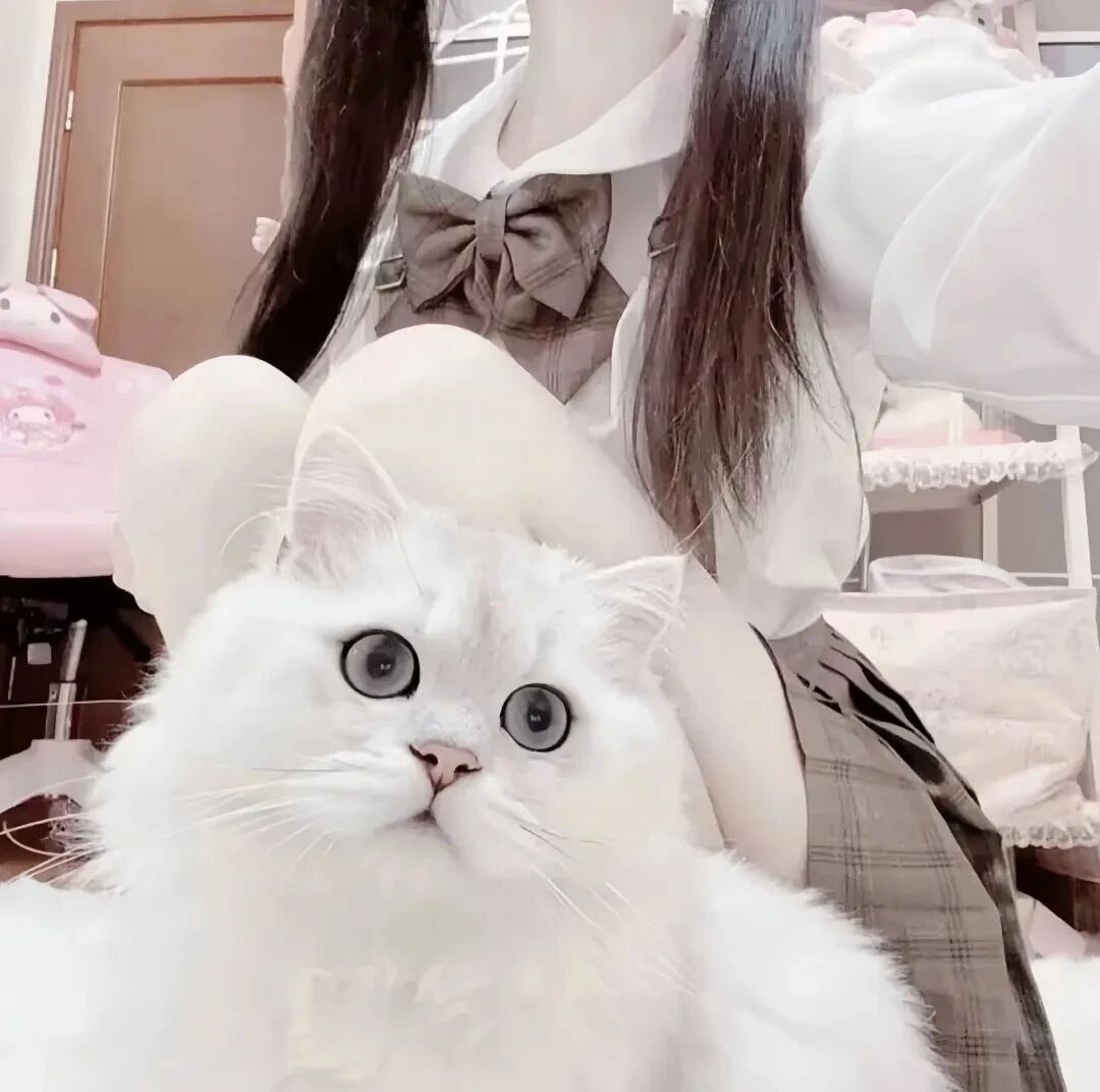 少萝不露脸女生头像