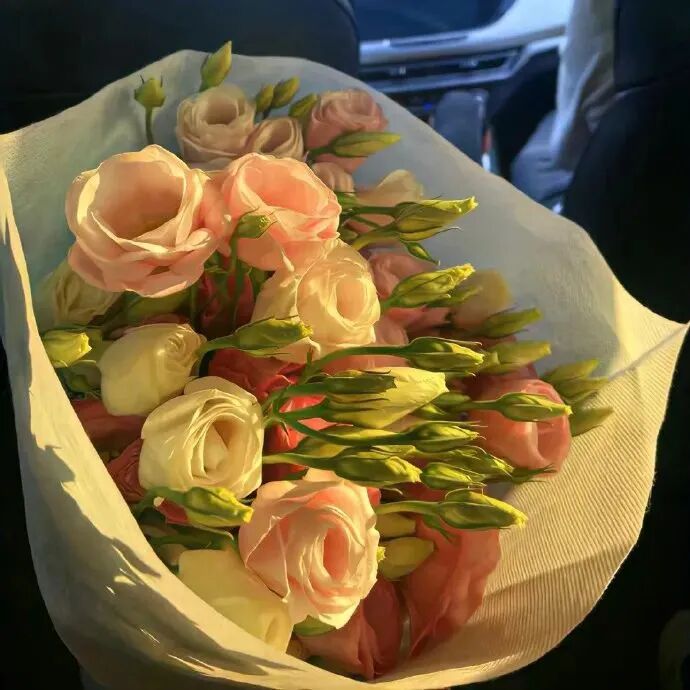 鲜花朋友圈背景图