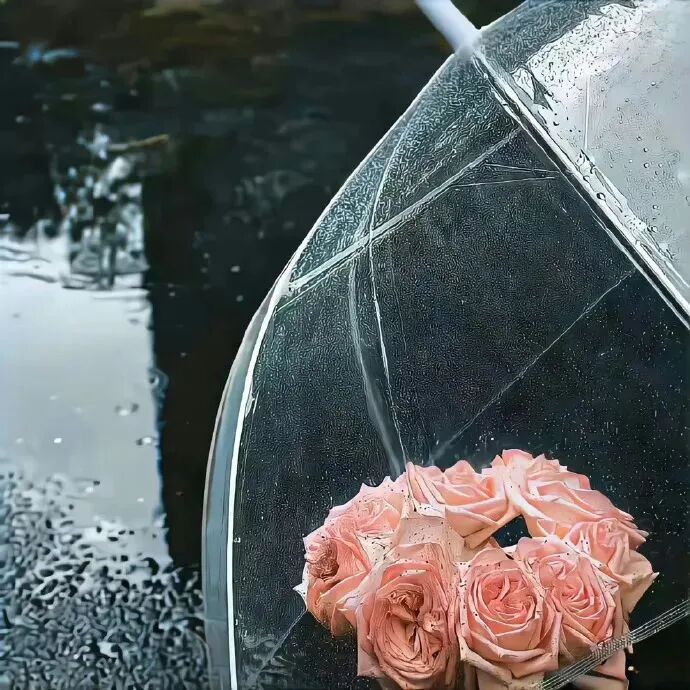 鲜花意境朋友圈背景图