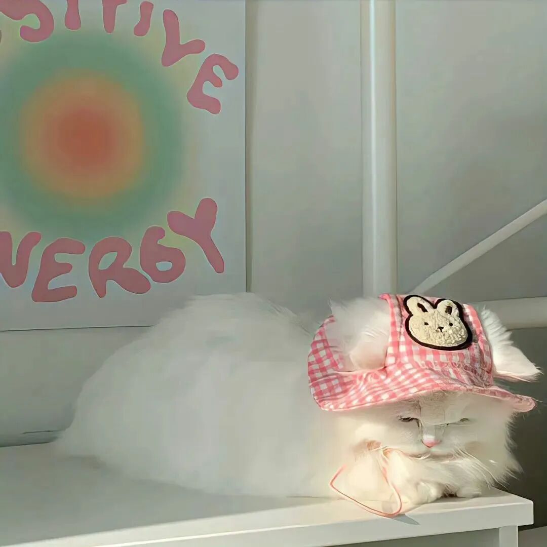 可以猫咪萌宠头像