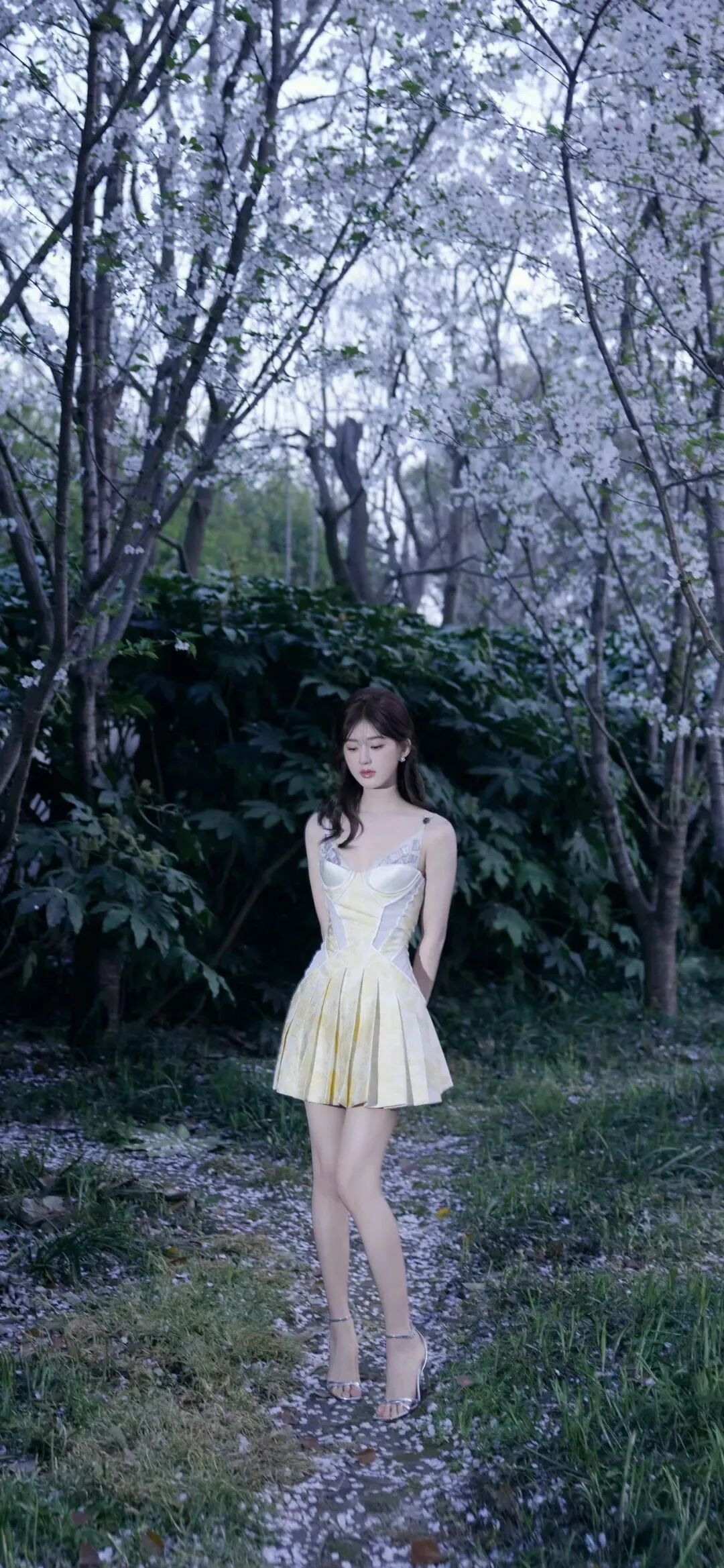 爱豆