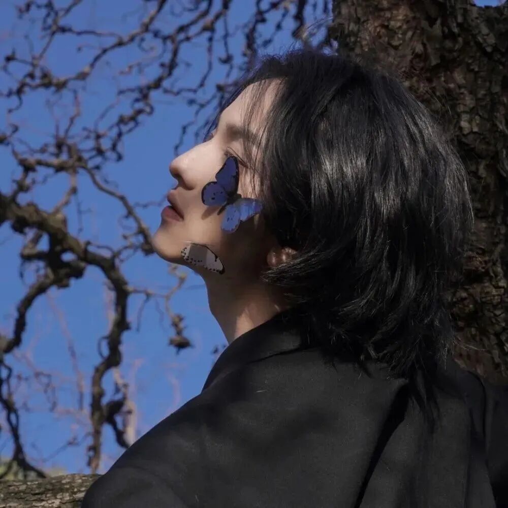 温柔蝴蝶侧脸男生头像