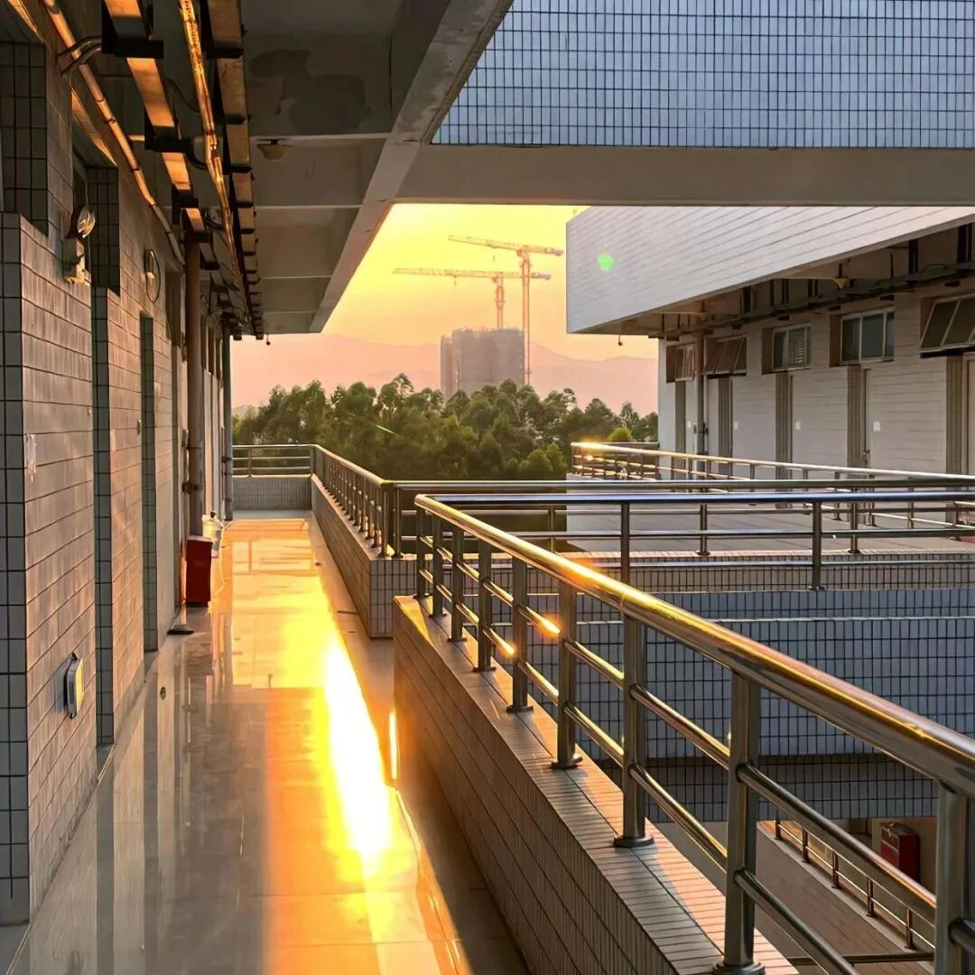 学校阳光朋友圈背景图