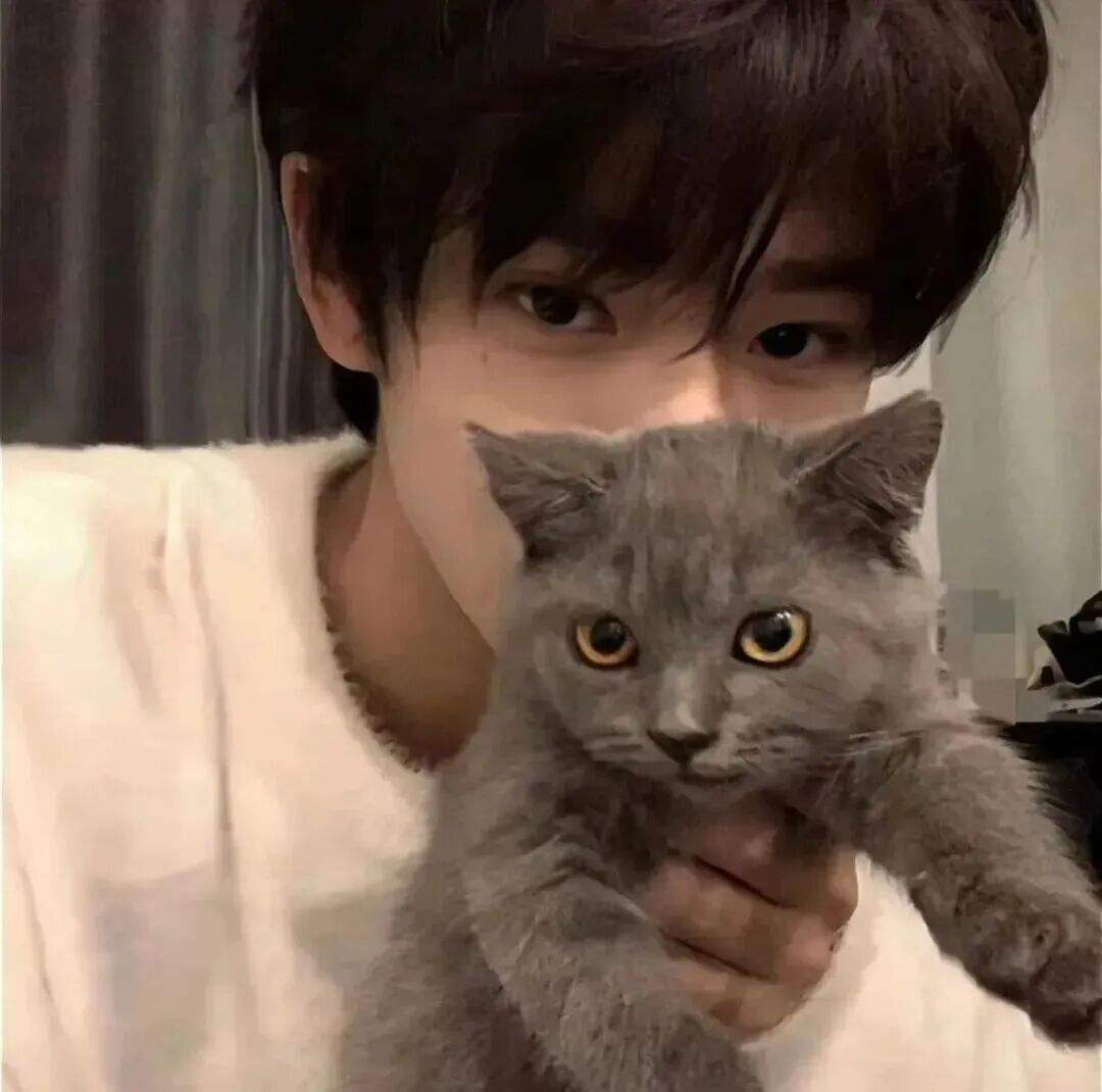 抱着猫咪小众男生头像