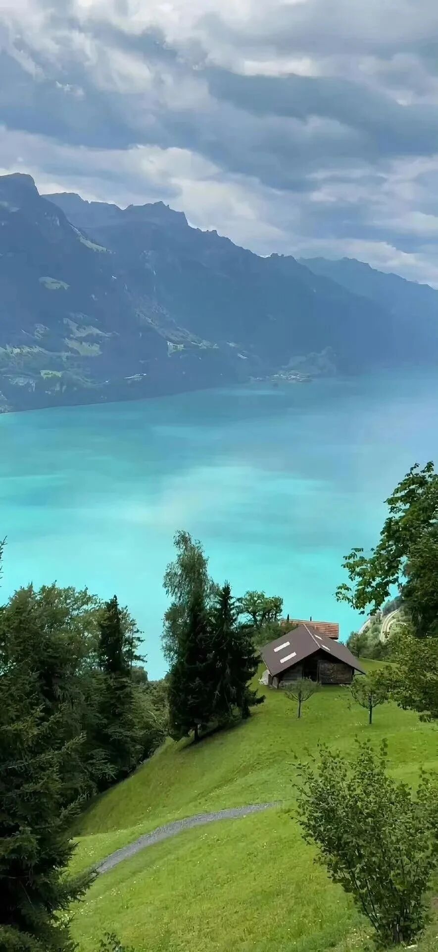 风景