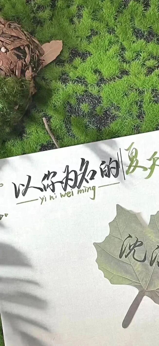 小清新文字壁纸