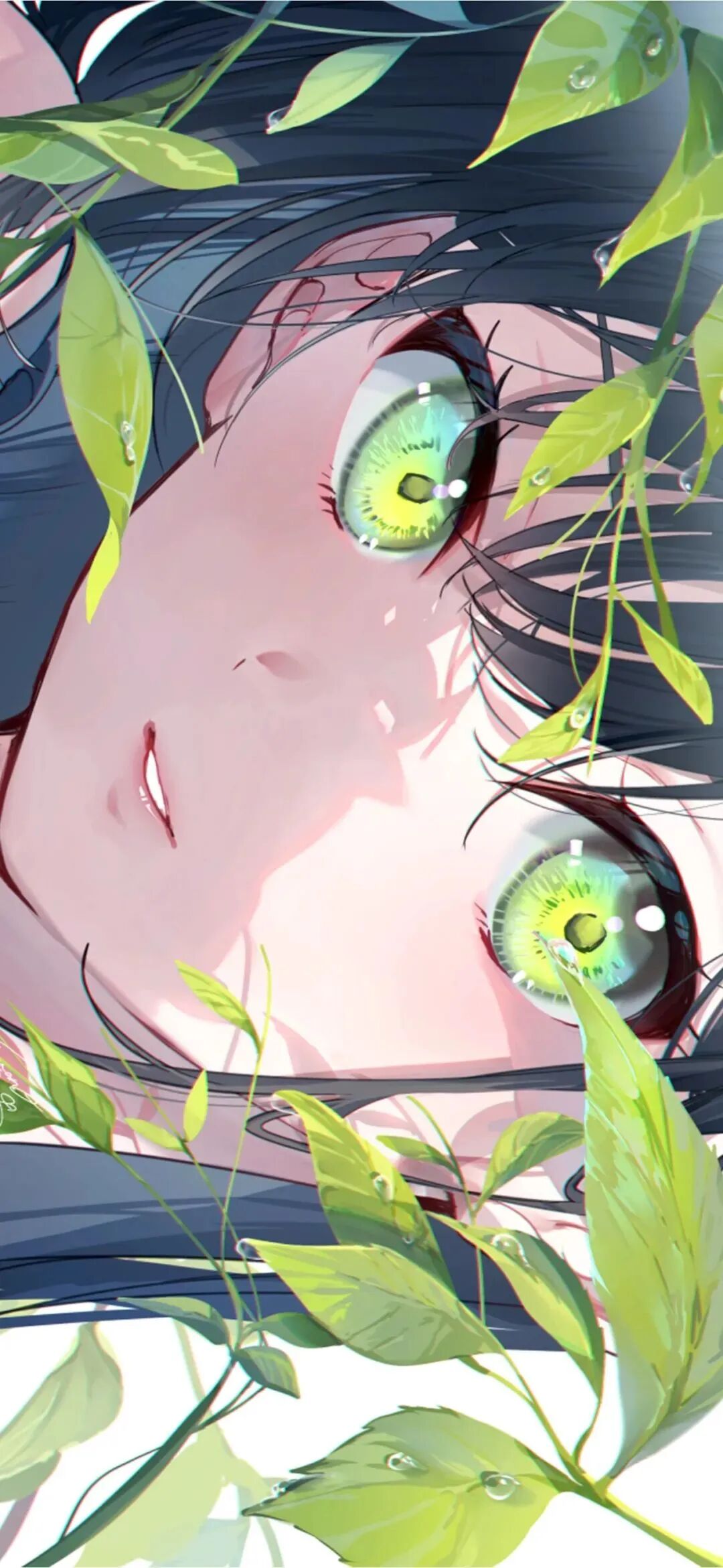 动漫