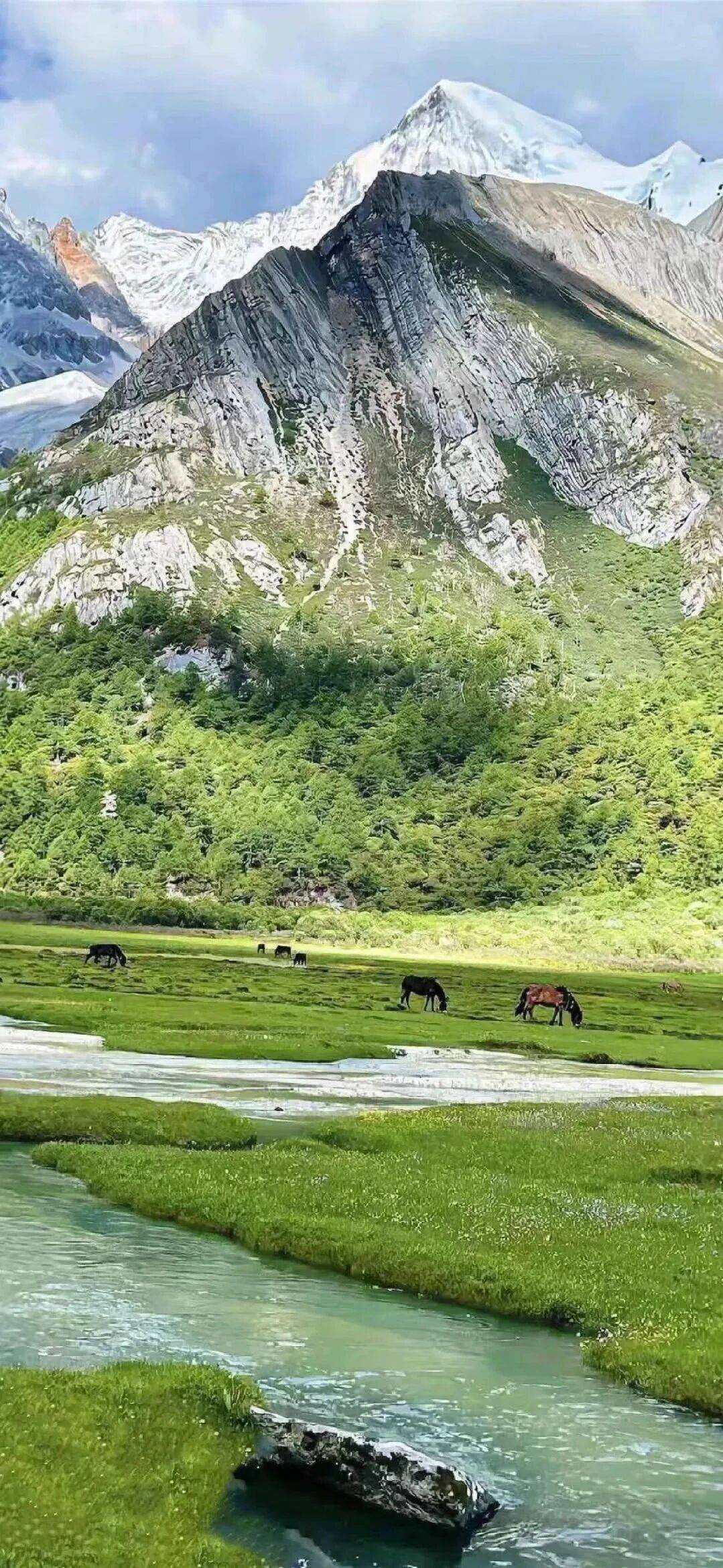 风景