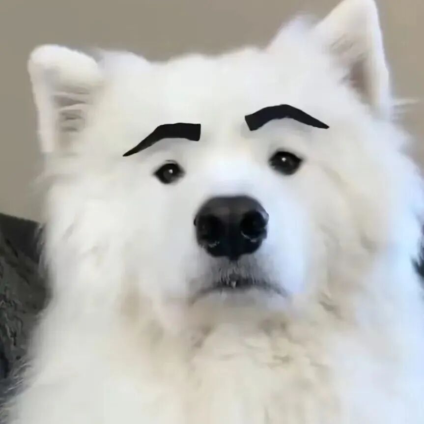 沙雕搞怪狗狗萌宠头像