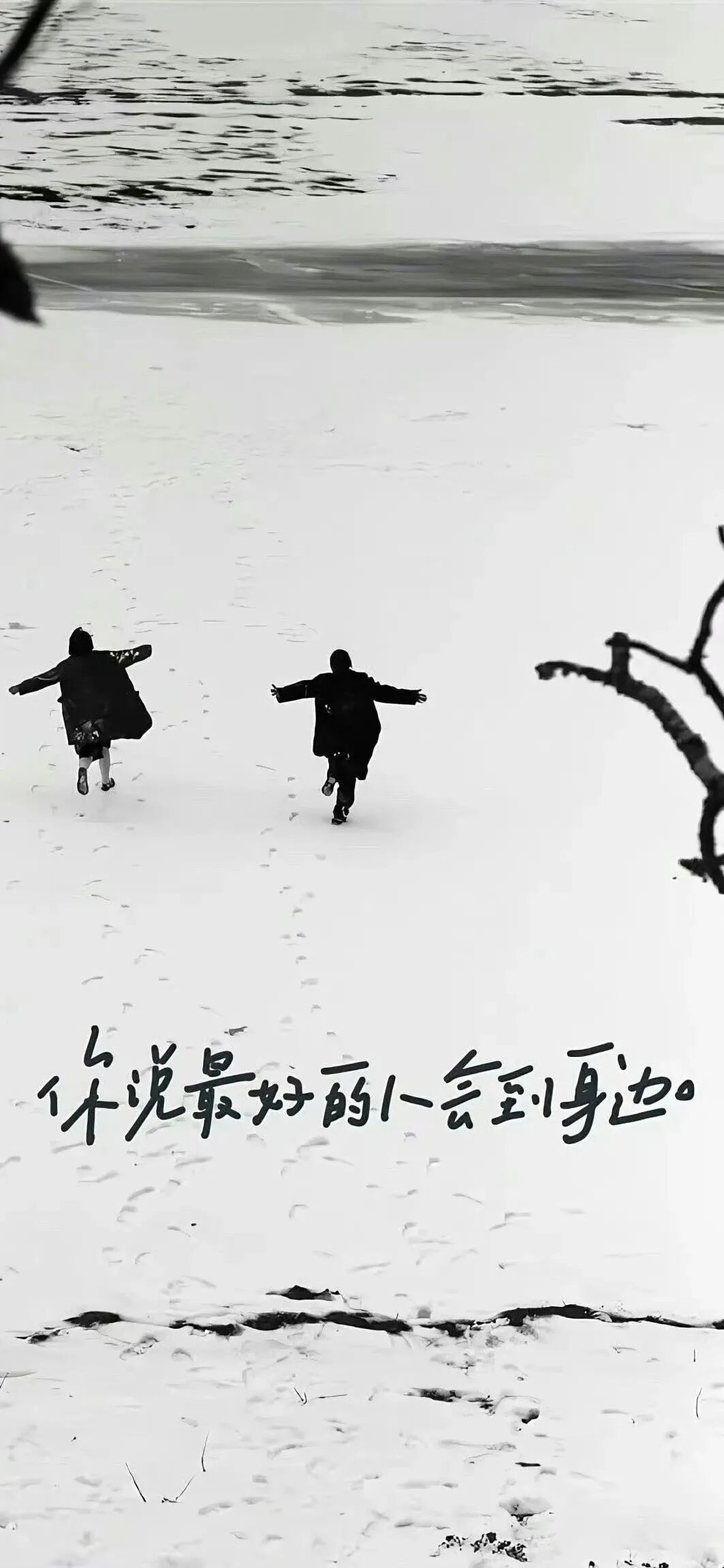 风景