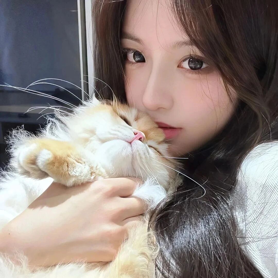 抱着猫咪小众女生头像