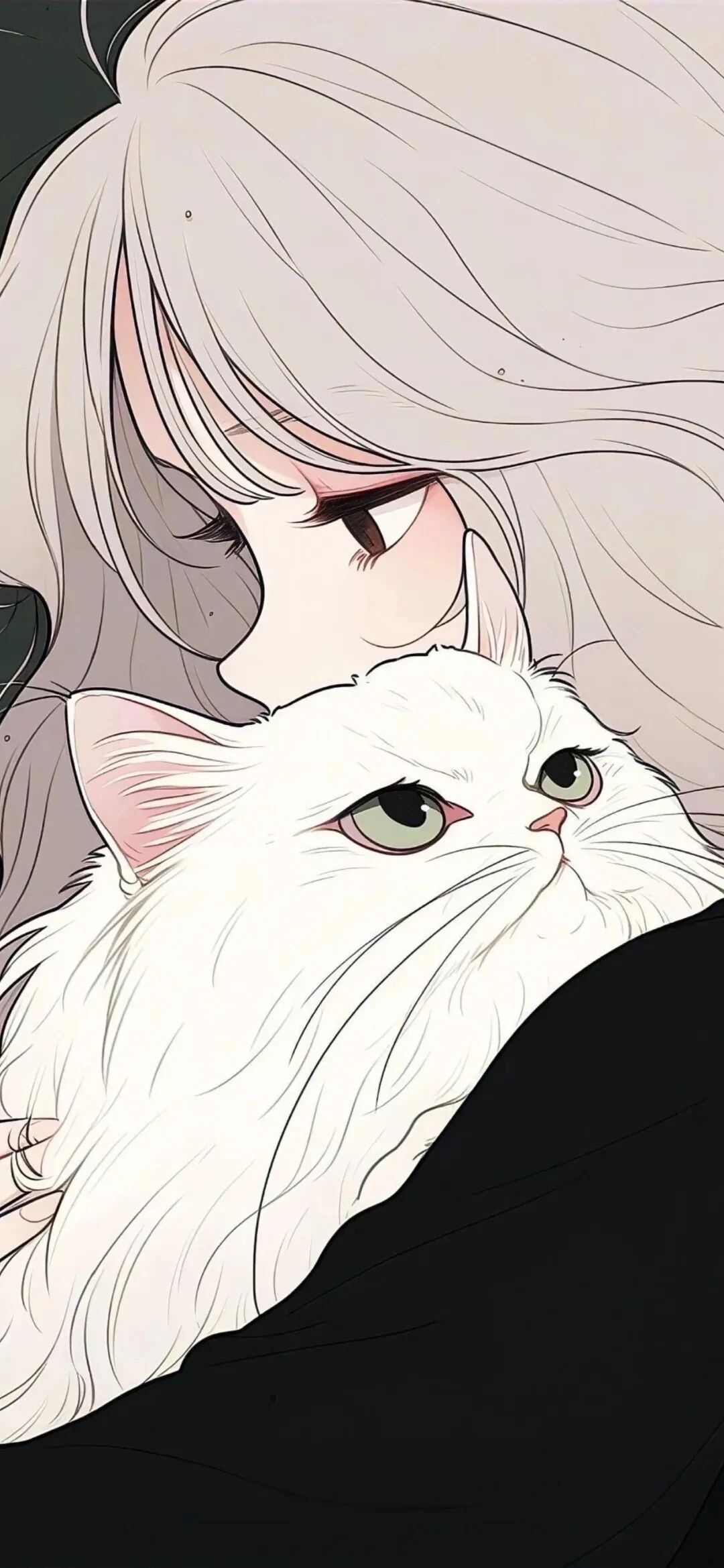 动漫