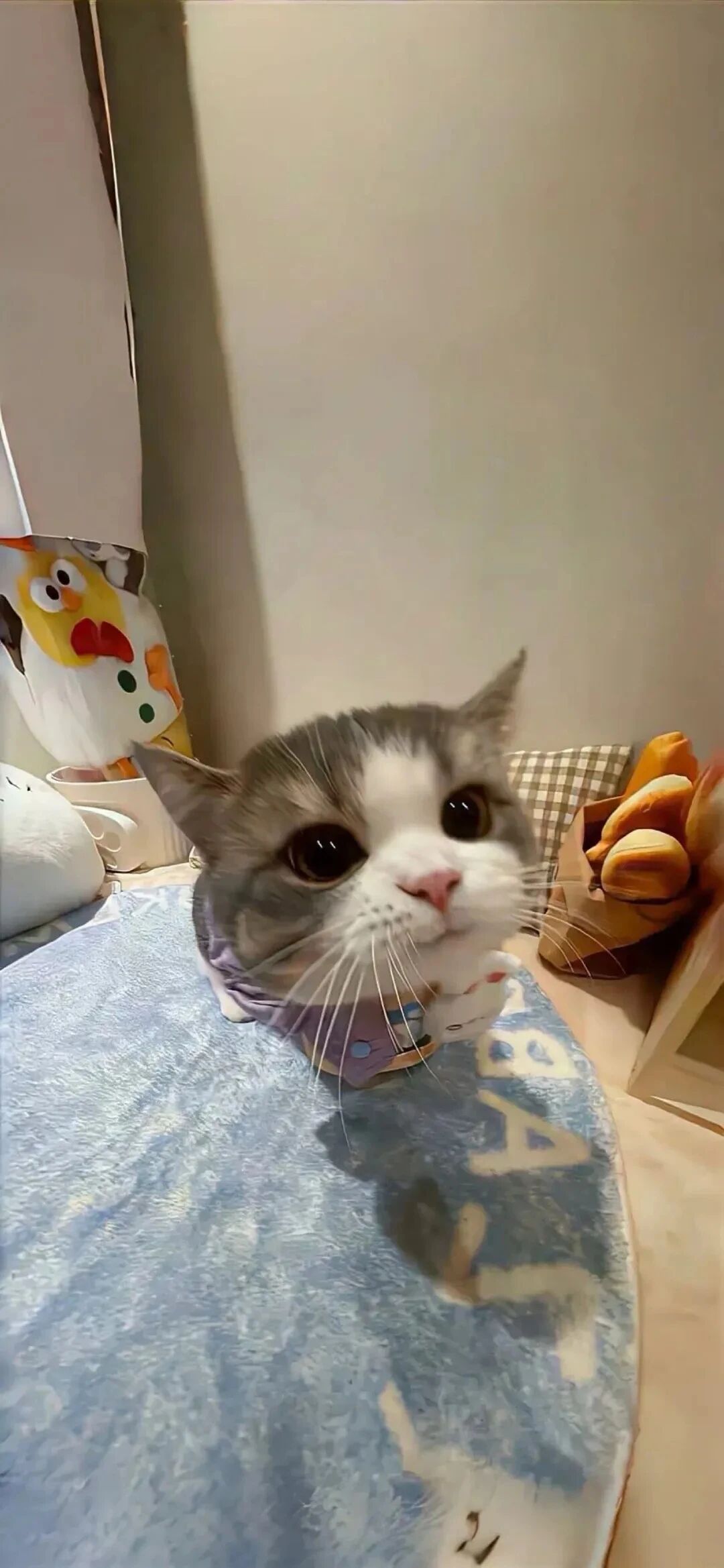什锦