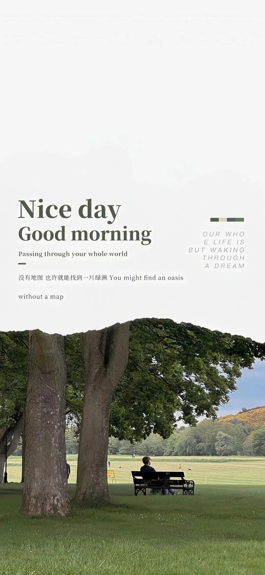 风景