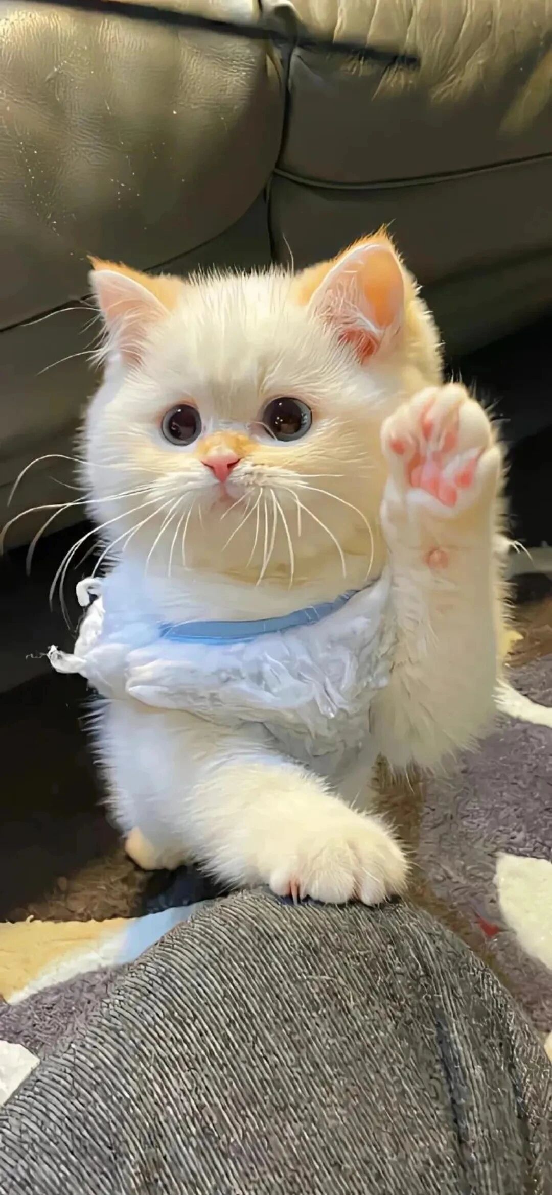 什锦