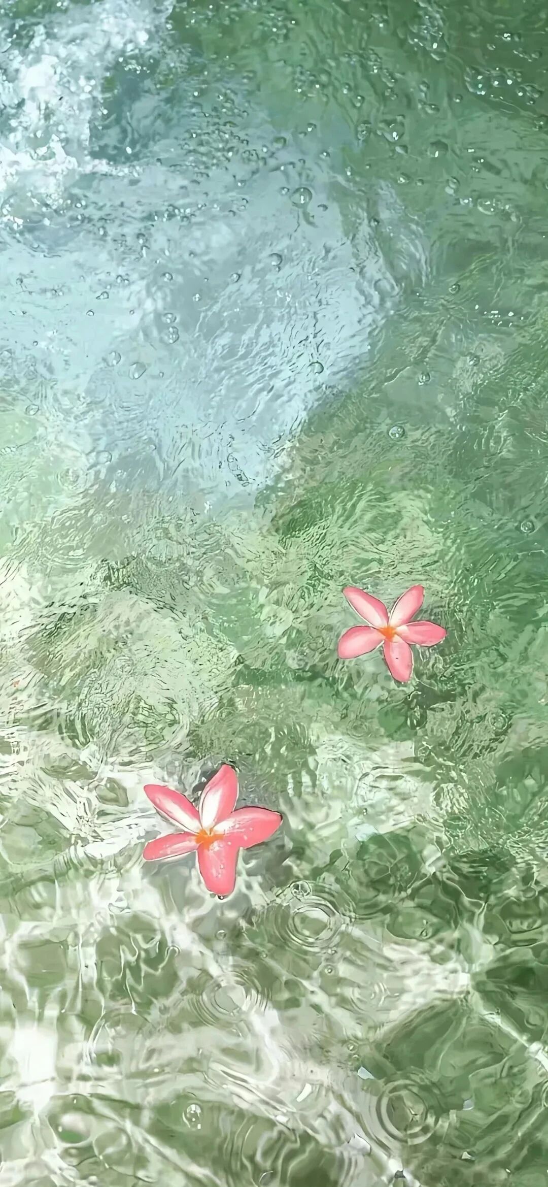 风景