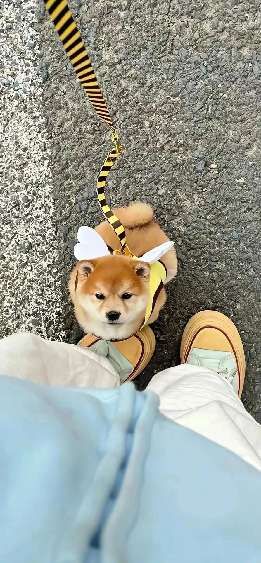 什锦