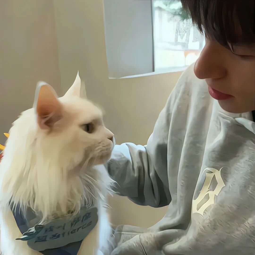抱着猫咪小众侧脸男生头像